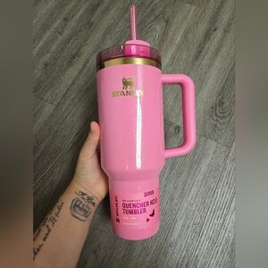 Wicked stanley pink Glinda 40oz tumbler